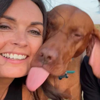Never a dull moment with this boy 👅🐾 #vizsla #vizlasofinstagram #furbaby #vizslasofinstagram101 #viszla